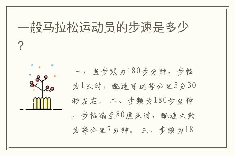 一般马拉松运动员的步速是多少?