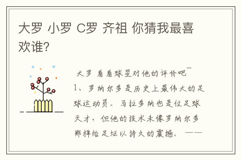大罗 小罗 C罗 齐祖 你猜我最喜欢谁?