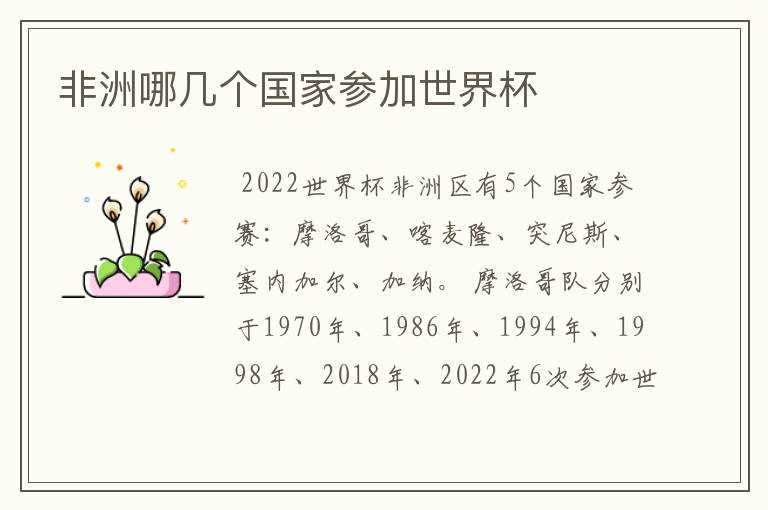 非洲哪几个国家参加世界杯