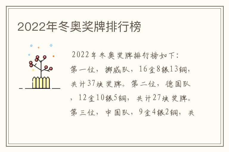 2022年冬奥奖牌排行榜