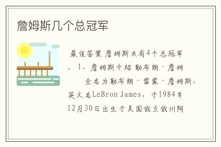 詹姆斯几个总冠军