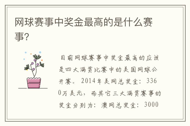 网球赛事中奖金最高的是什么赛事?