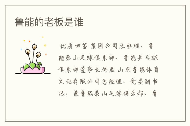 鲁能的老板是谁