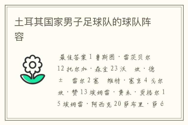 土耳其国家男子足球队的球队阵容