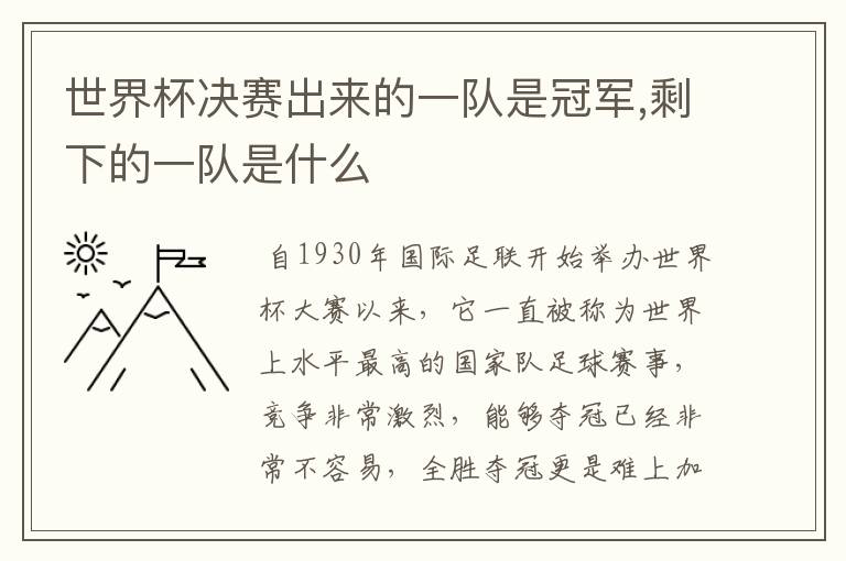 世界杯决赛出来的一队是冠军,剩下的一队是什么