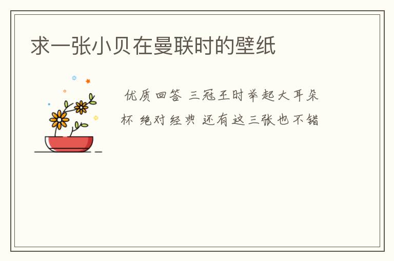 求一张小贝在曼联时的壁纸