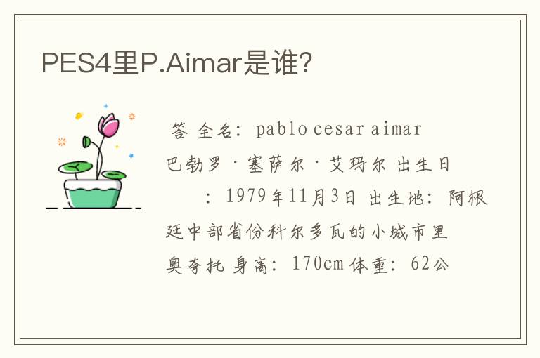 PES4里P.Aimar是谁?
