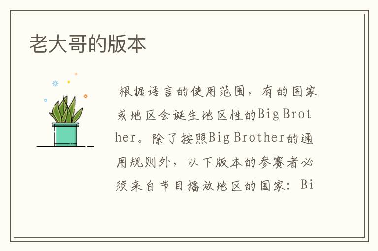 老大哥的版本