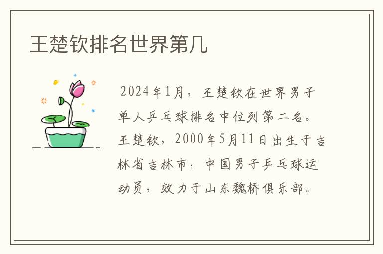 王楚钦排名世界第几