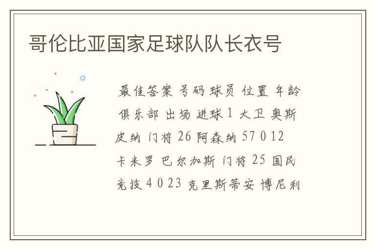 哥伦比亚国家足球队队长衣号