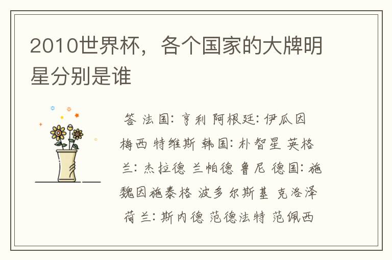 2010世界杯,各个国家的大牌明星分别是谁