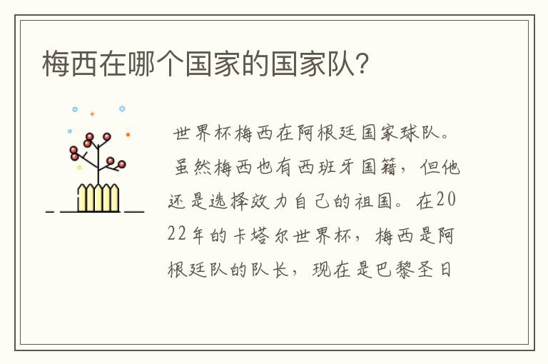 梅西在哪个国家的国家队?