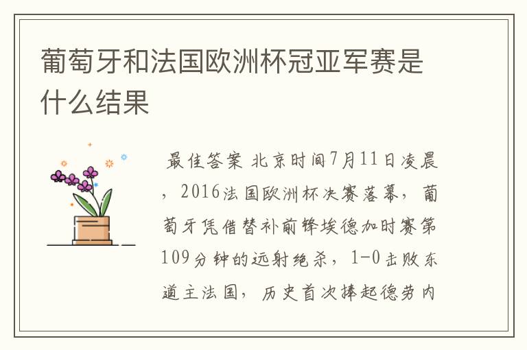 葡萄牙和法国欧洲杯冠亚军赛是什么结果