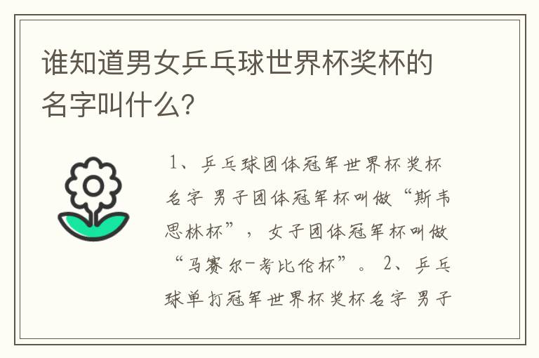 谁知道男女乒乓球世界杯奖杯的名字叫什么?