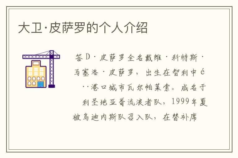 大卫·皮萨罗的个人介绍
