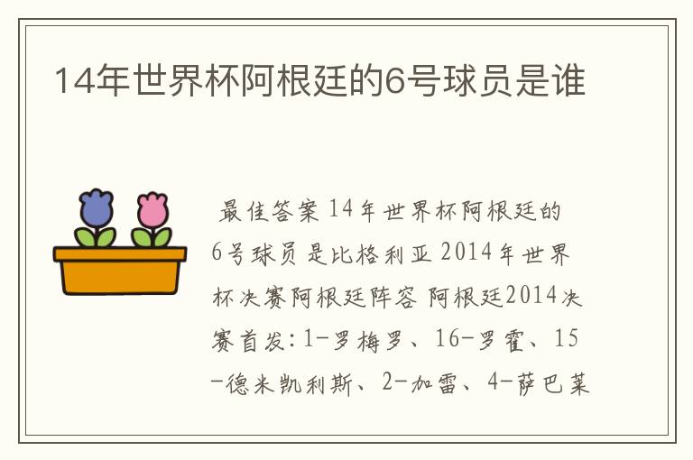 14年世界杯阿根廷的6号球员是谁