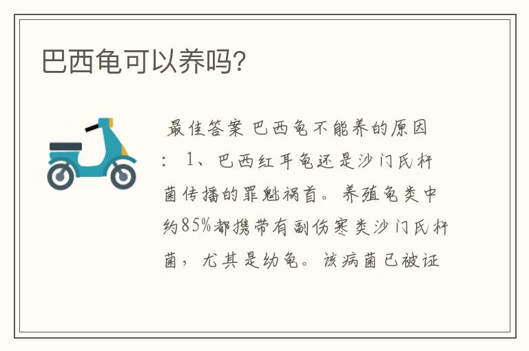 巴西龟可以养吗?