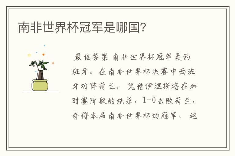 南非世界杯冠军是哪国?