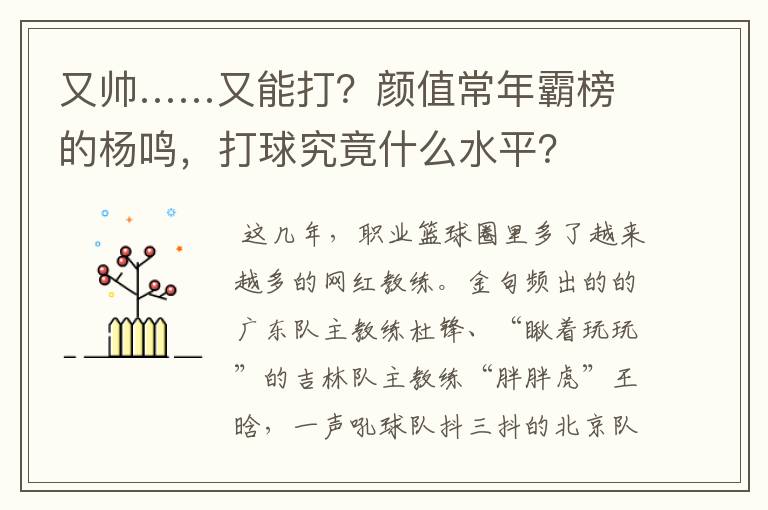 又帅……又能打?颜值常年霸榜的杨鸣,打球究竟什么水平?