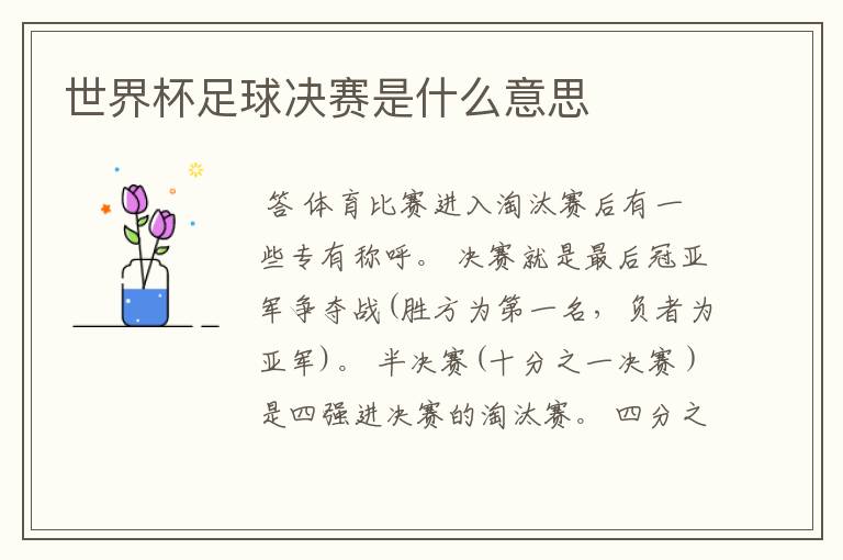 世界杯足球决赛是什么意思
