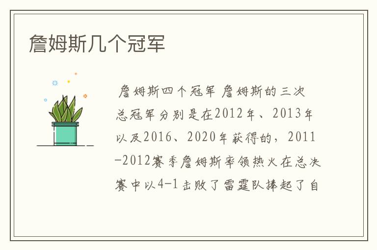 詹姆斯几个冠军