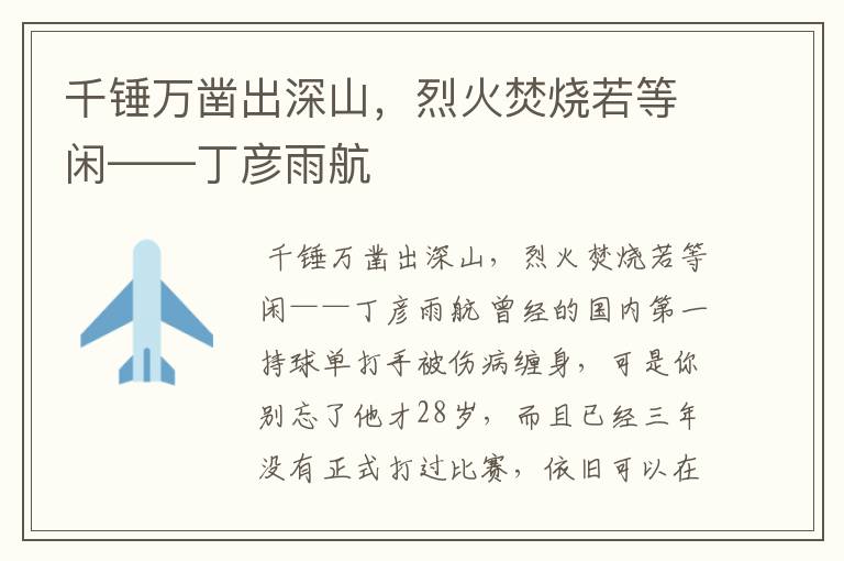 千锤万凿出深山,烈火焚烧若等闲——丁彦雨航