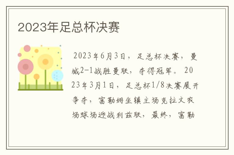 2023年足总杯决赛