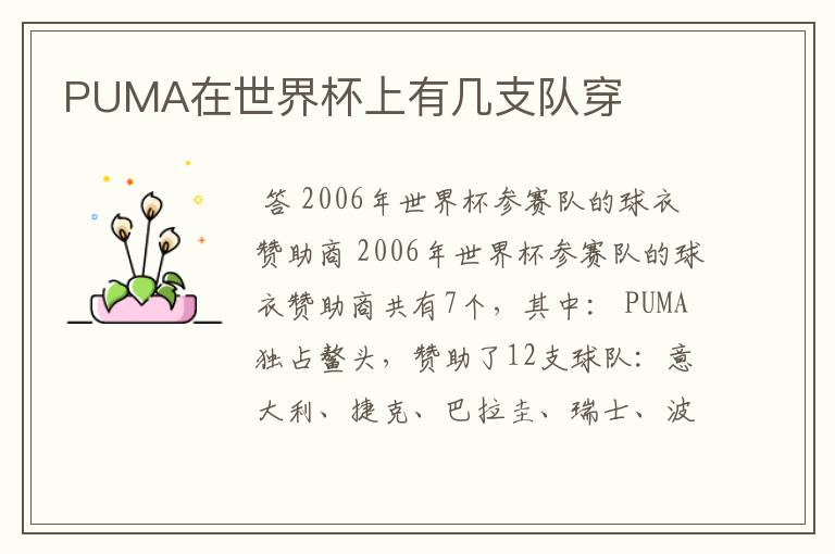 PUMA在世界杯上有几支队穿
