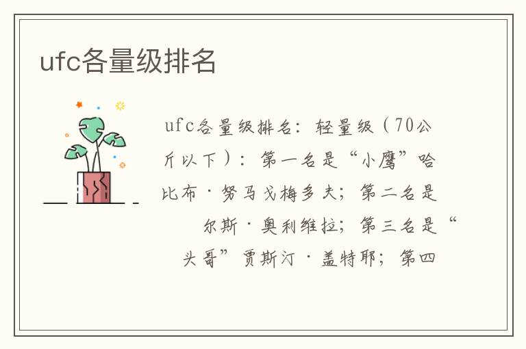 ufc各量级排名