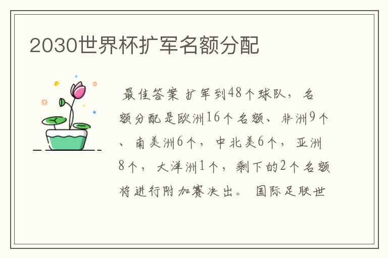 2030世界杯扩军名额分配