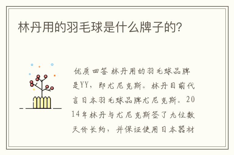 林丹用的羽毛球是什么牌子的?