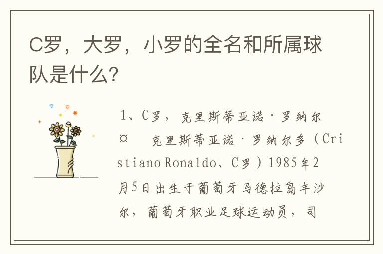 C罗,大罗,小罗的全名和所属球队是什么?