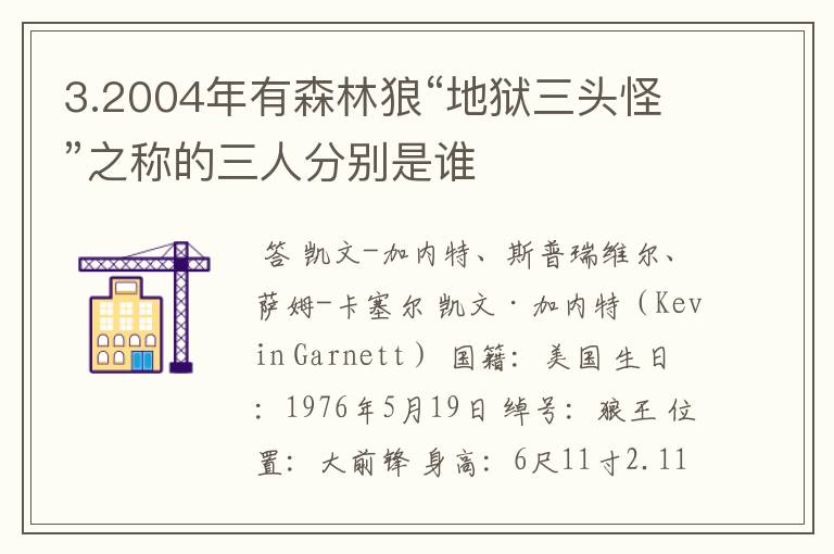 3.2004年有森林狼“地狱三头怪”之称的三人分别是谁