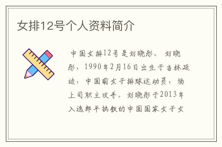 女排12号个人资料简介