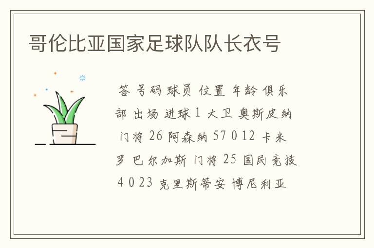 哥伦比亚国家足球队队长衣号