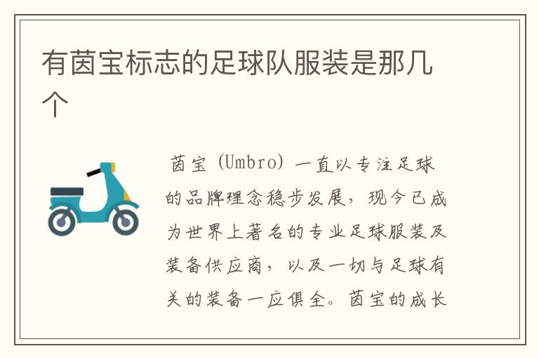 有茵宝标志的足球队服装是那几个