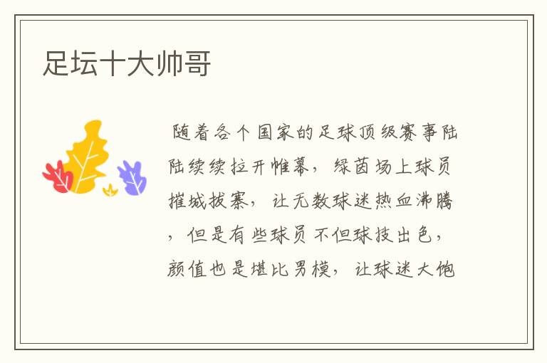 足坛十大帅哥
