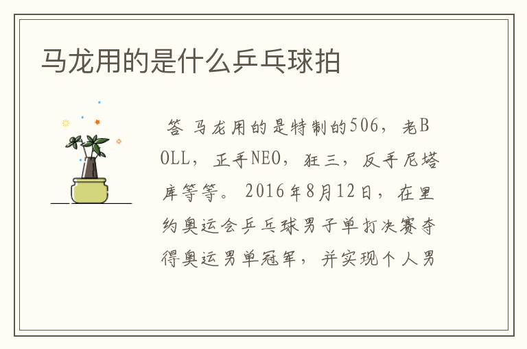 马龙用的是什么乒乓球拍