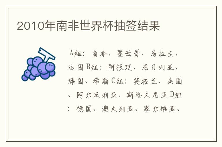 2010年南非世界杯抽签结果