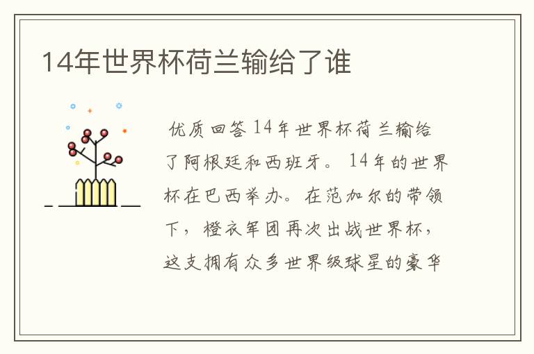 14年世界杯荷兰输给了谁