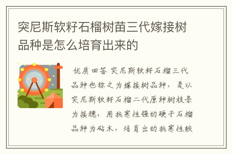 突尼斯软籽石榴树苗三代嫁接树品种是怎么培育出来的
