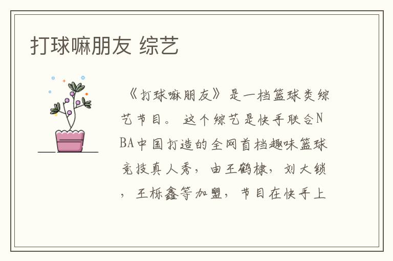 打球嘛朋友 综艺