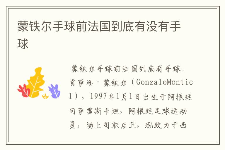 蒙铁尔手球前法国到底有没有手球