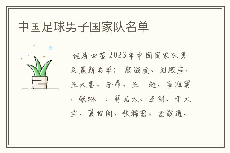 中国足球男子国家队名单