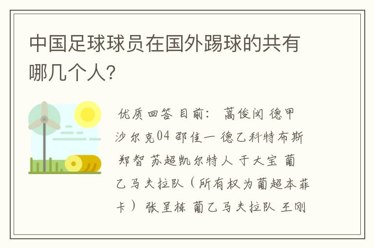 中国足球球员在国外踢球的共有哪几个人?