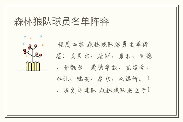 森林狼队球员名单阵容