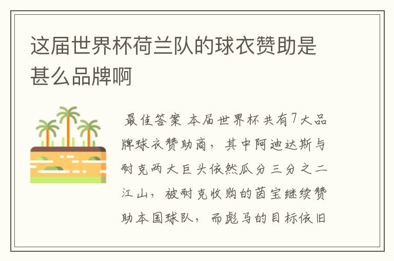 这届世界杯荷兰队的球衣赞助是甚么品牌啊