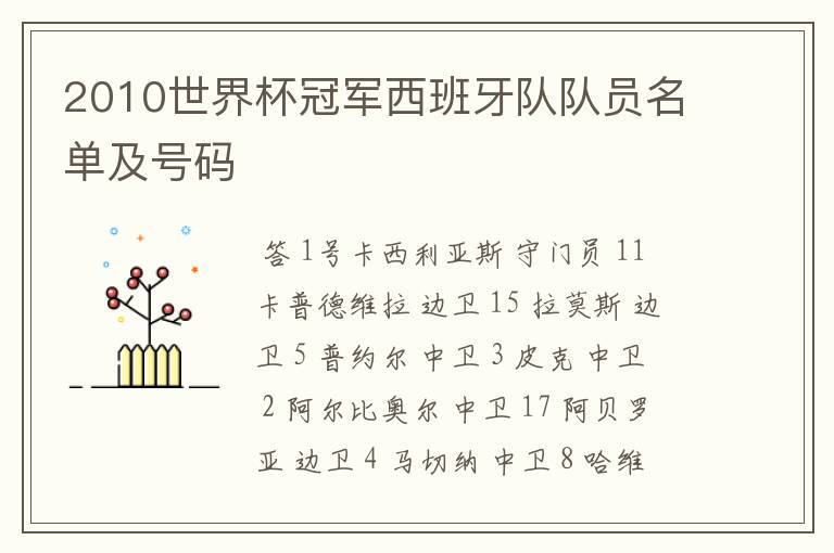 2010世界杯冠军西班牙队队员名单及号码