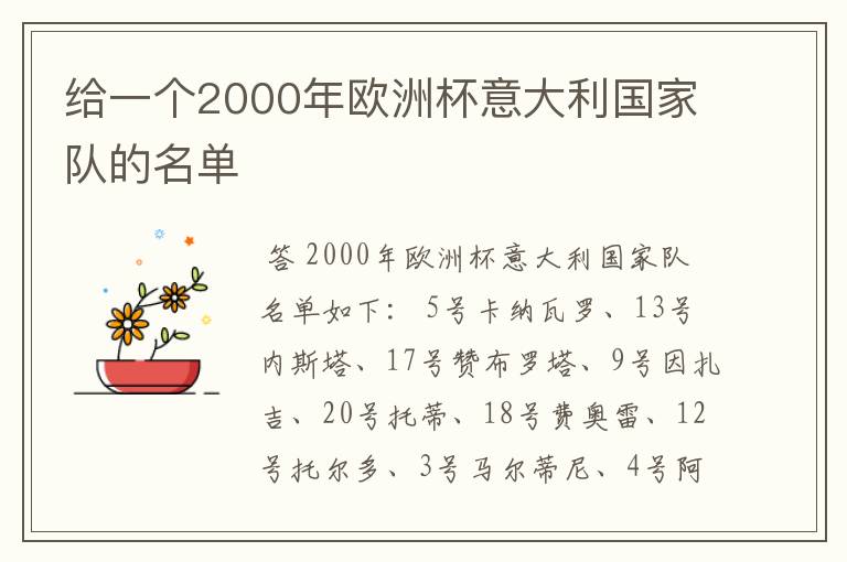 给一个2000年欧洲杯意大利国家队的名单
