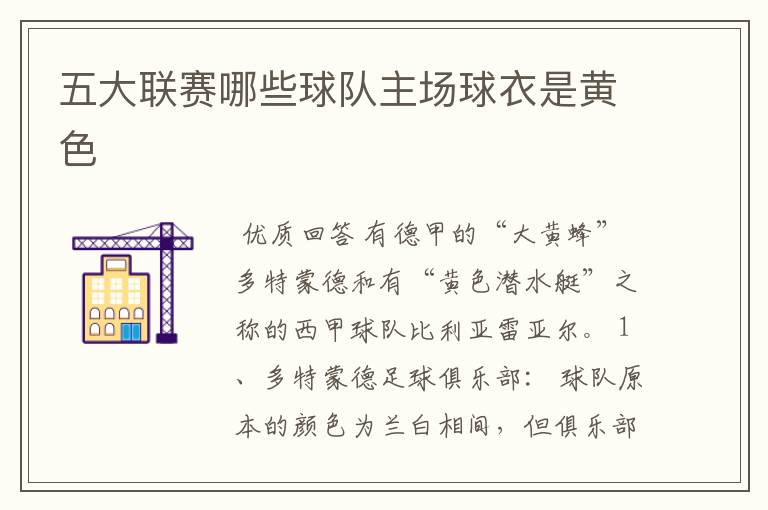五大联赛哪些球队主场球衣是黄色